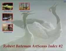 Imufy WWSA AS Bateman 00 Index #2. Bateman, Роберт