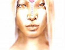 hermelin isc TW 74. Wuerz, ����