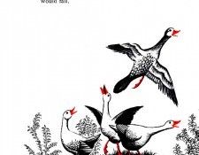 Cf 0027 sqs. ����, �������