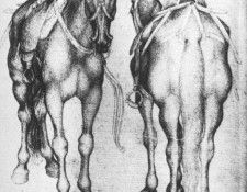 PISANELLO Horses.  