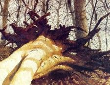 File8977. Wyeth, ������