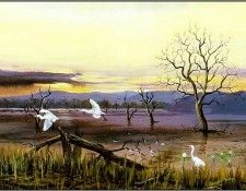 pa GeorgePhillips AustralianBush 01. , 