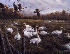 Pierre Girard - Etape migratoire, De. �����, ����