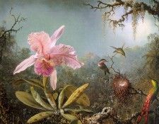 Cattelya Orchid and Three Brazilian Hummingbirds CGF. ����, ������ �������