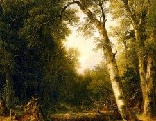 Durand, Asher B - A Stream in the Wood (end. �����, ���� �����