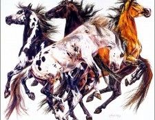 bs-aaw-Ethelinda-BuckarooBall. �������, Ethelinda