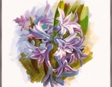 KunzJan-Hyacinth-sj. ����, ��