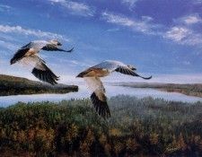 Robert Gerard - Direction South, De. �����, ������