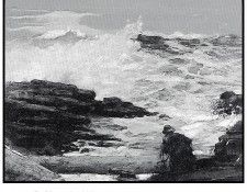 zFox SWD WH 02 Driftwood 1909. �����, �������