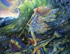 surfers dream. �����, ��������