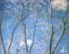 larionov acacias in spring 1904. , 