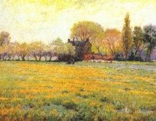 harwood dandelion field 1913. 