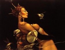 mmp28. �����, �����