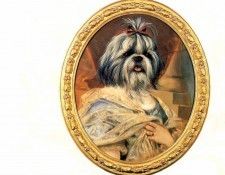 dog portraits csg027 dona marissa navarro. , 