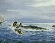 kb Nelson RL Justice for a Whale. Nasmith, ���