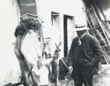 Dagnan Photo Horses1. Dagnan-Bouveret, --