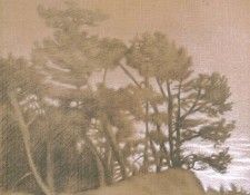 Hardy David Preliminary Landscape Drawing. �����, �����