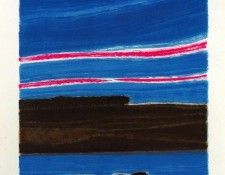 46522. Brasilier, �����