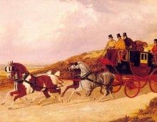 herring4. ������, ���� ��������