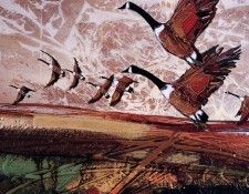Jean-Pierre Guay - Le Vent Dans Les Plumes, De. ����, ���-����