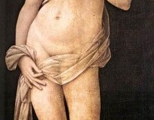 Lorenzo di Credi Venus.   