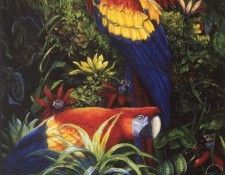 kb Hulbert Laura-Primarily Tropical with Passion. , 