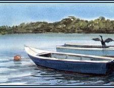 D50-AWE152-RB-Habitat Mangroves 2. Bansemer, ������