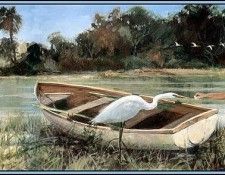 D50-AWE159-RB-Habitat Lakes&Rivers. Bansemer, 