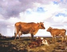 cooper the victoria cow buffie 1848. , C