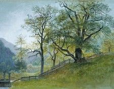05208. Haseltine,  