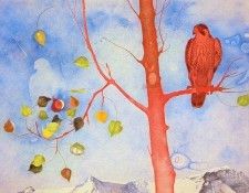 Rodgers, Derek - Rocky Mountain Fantasia (end. �������, �����