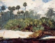Homer Winslow In a Florida Jungle. , 