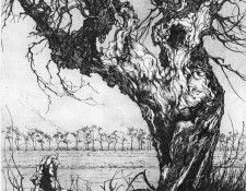 Pieck Anton 050 Sun. , 