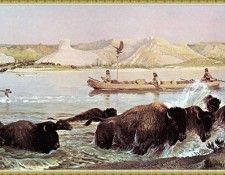 zFox SWD JC 30 George Catlin Return Journey 1832. , 