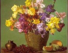 Arnett-JoeAnna-IrisFiesta-sj. ,  
