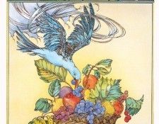 IS5 011 Anne Feiza 01 (Birds of a Feather). Feiza, 