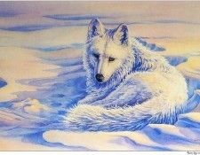 f WSC 11 SallyJSmith WarmDayInAColdWorld-ArticWolf. ,  J