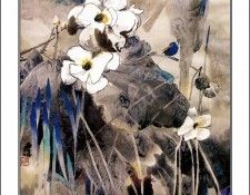 CSCU aping 2k3 wang ke yin 035. ��� ��� ��