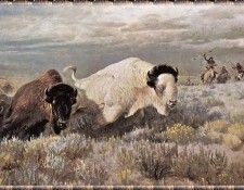 zFox SWD JC 19 White Buffalo. �������, ����