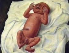 img178. ����, ����