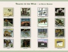 BowenBetsy TracksInTheWild !Index sj. �����, �����