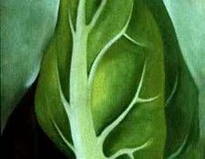 32364. OKeeeffe, ������