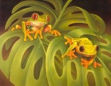 s4-vanishingspecies015-redeyedtreefrog. �����, L