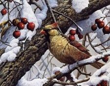Pierre Girard - Hiver colore, De. , 
