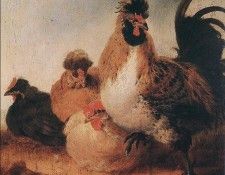 CUYP Aelbert Rooster And Hens. , Aelbert