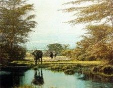 Ae 14 Reflection Simon Combes sqs. , 