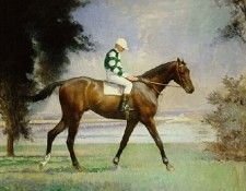 Thoroughbred with Jockey Up ATN. ,  