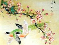 Shen Mei5h3006. ���, ���