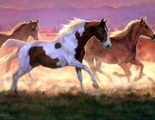 horses in the mist csg010 take off. ,  