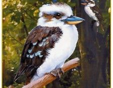 pa HartTrish 04 LaughingKookaburra. , 